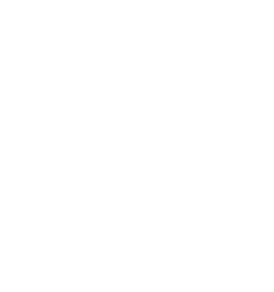 Icone Eventos e Negocios